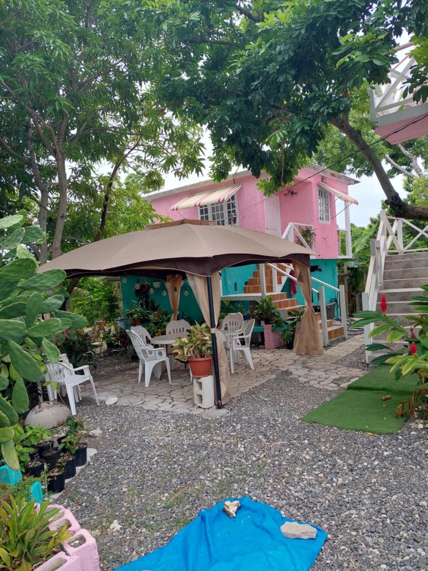 Alex'S Place - Tim Pappies Port Antonio Eksteriør bilde